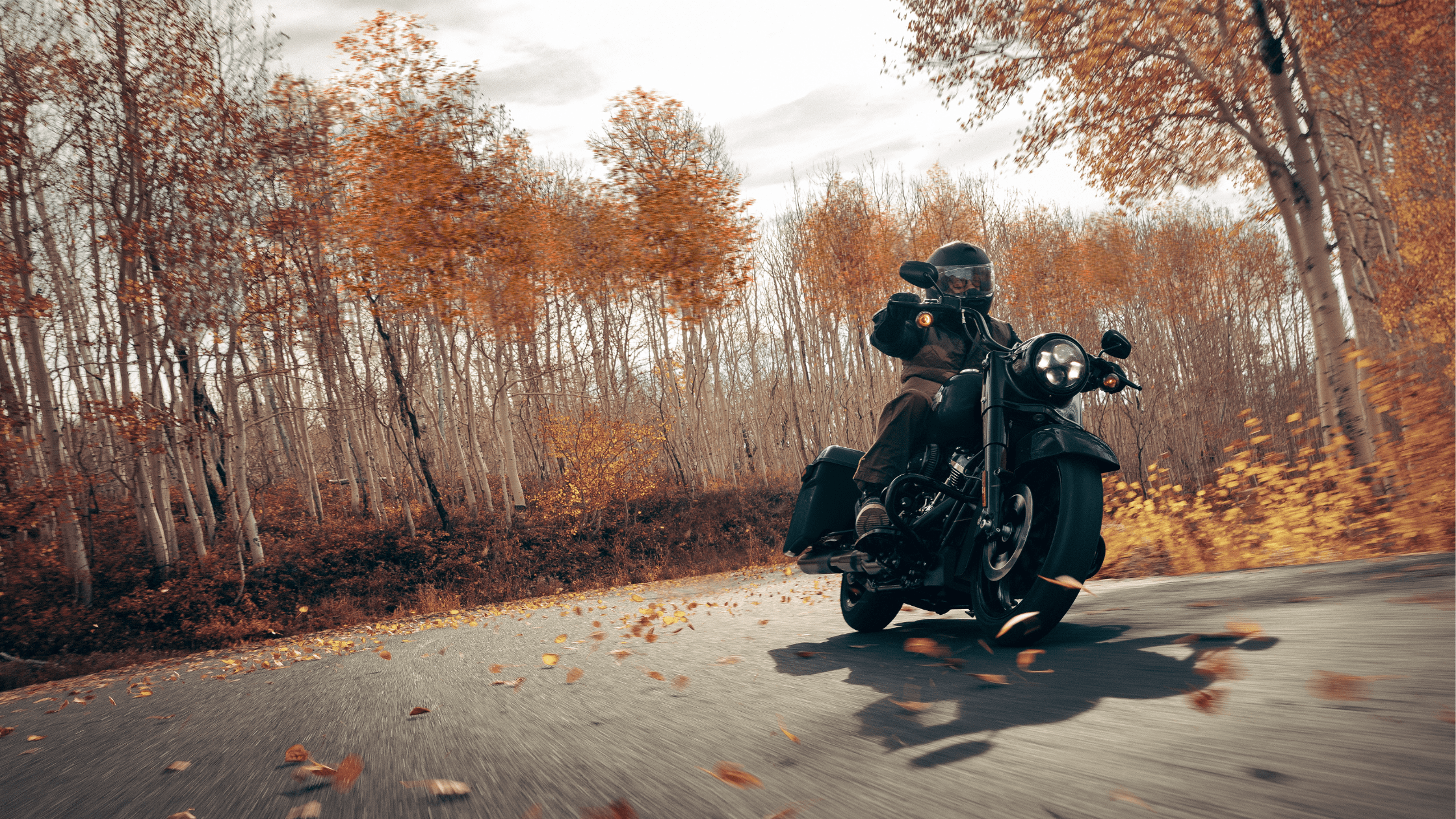 Go to falconsfuryhd.com …