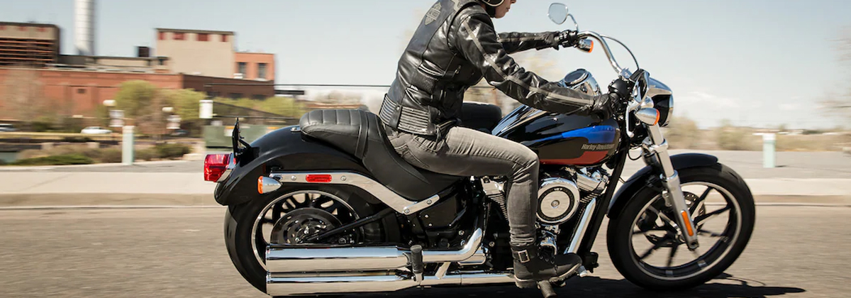 Go to falconsfuryhd.com (low-rider-s subpage)